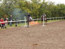 img_9460_web